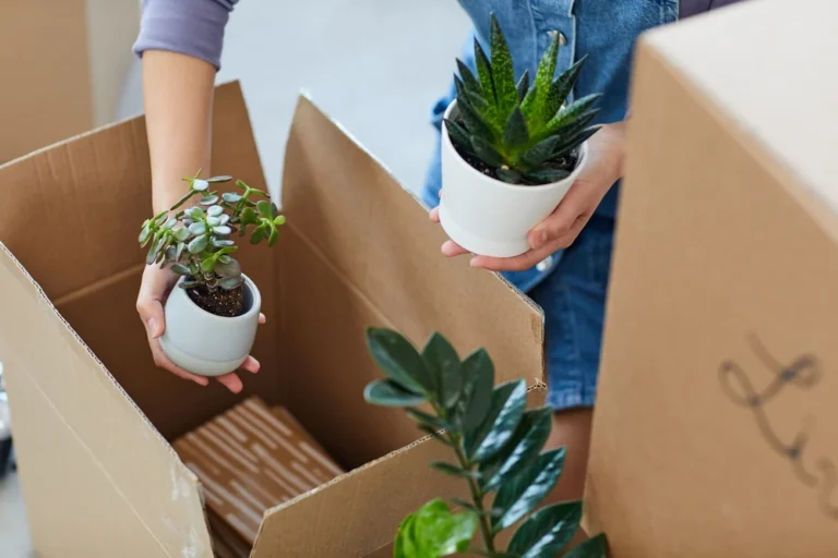 can you move plants across state lines
